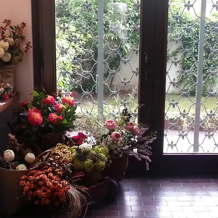 Casa Calicantus-3