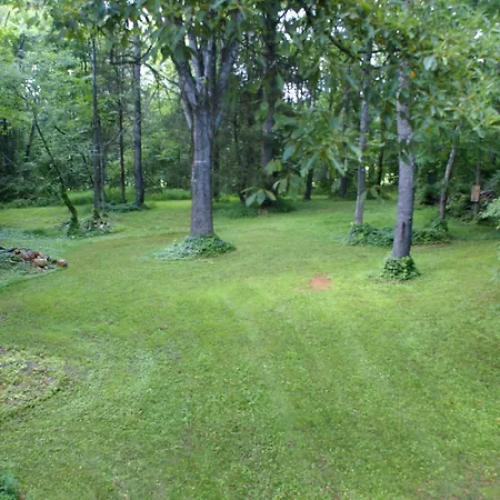Ebenezer House Bed & Breakfast-2