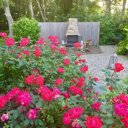 The Platinum Pebble Boutique Inn - Adults Only Property-2