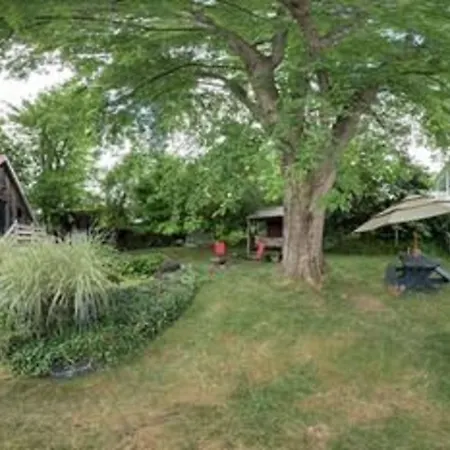 Lily Garden Bed And Breakfast-3