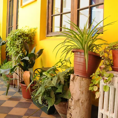 Hostal Rio Amazonas-3