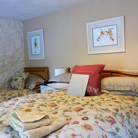 Eastview Bed And Breakfast-3