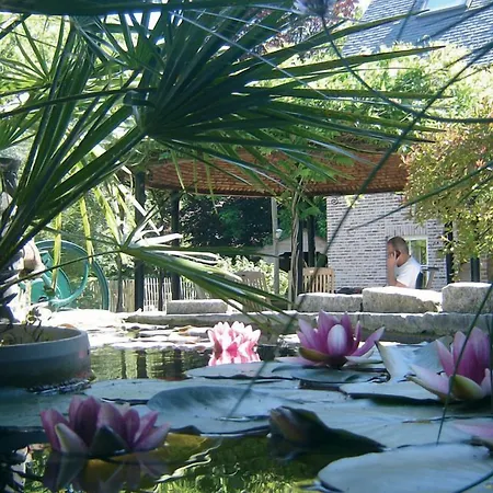 B&B Wisteria-3