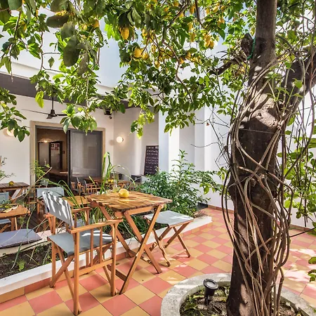 Lemon Tree Stay-2