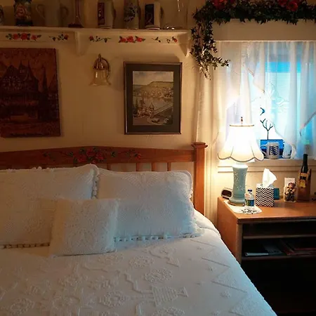 Oasis Bed And Breakfast-2