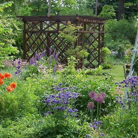 Vintage Gardens Bed & Breakfast-2