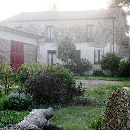 Casa del Geco-3