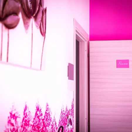 Colors B&B-2