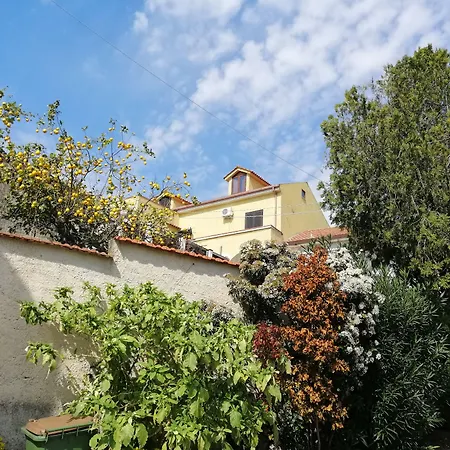 B&B Moscani-3