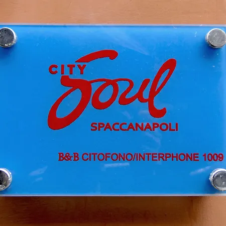 Spaccanapoli B&B City Soul-3