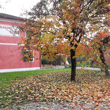 Barone Rosso-3