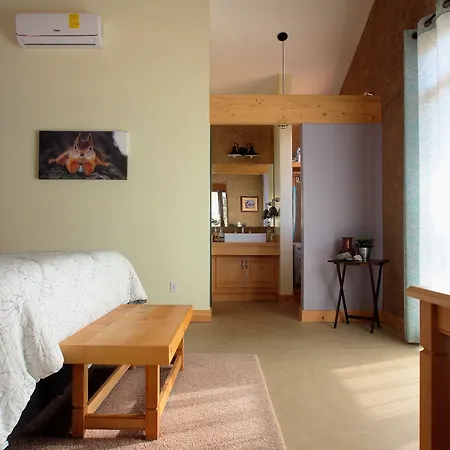 Casa Mayoral B&B Pet friendly-2