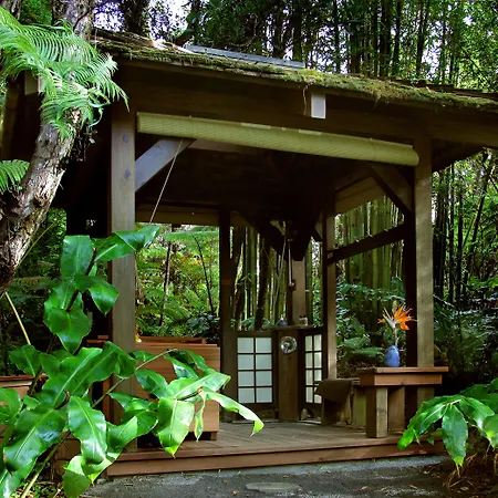 Volcano Rainforest Retreat-2