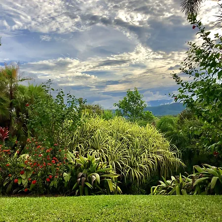 Daintree Manor B&B-3