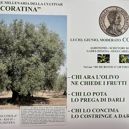 B&B Villa Mediterranea With Private Parking-2