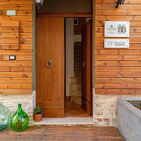 Lotus House-3