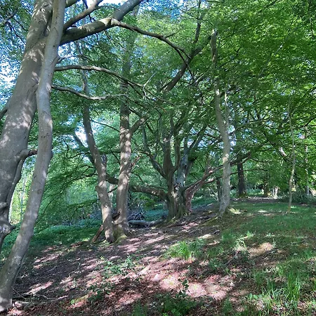 5 Charlton Mill Way B&B-2