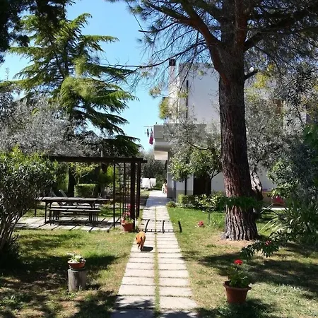 BeB dal Barbarossa-2