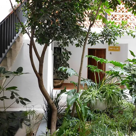 Santa Josefita-3