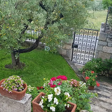 Villa Maria Paola Resort - Bed&Breakfast Isernia-2
