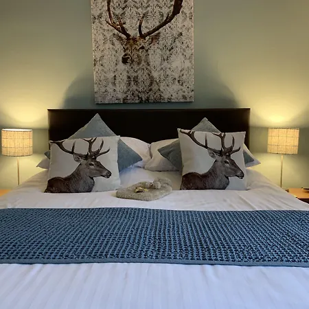 Morlea Bed & Breakfast-3