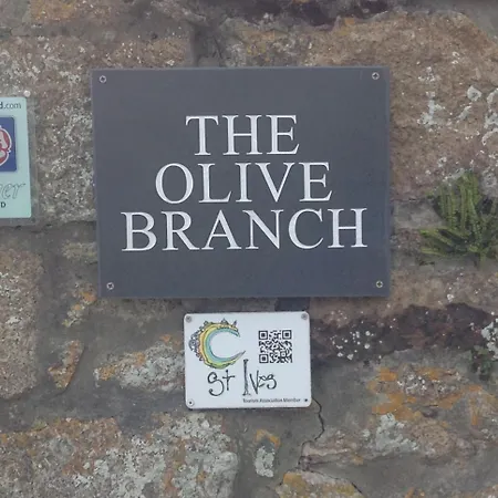 The Olive Branch-2