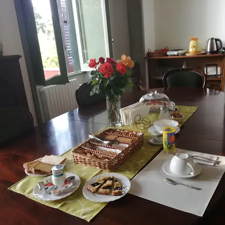 Vigna dell'Agrifoglio - Bed&Breakfast-3
