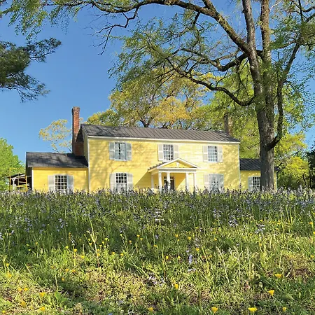 The Sunnyside Sisters Bed And Breakfast-2