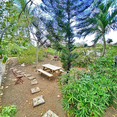 Sugar Apple Bed And Breakfast-2
