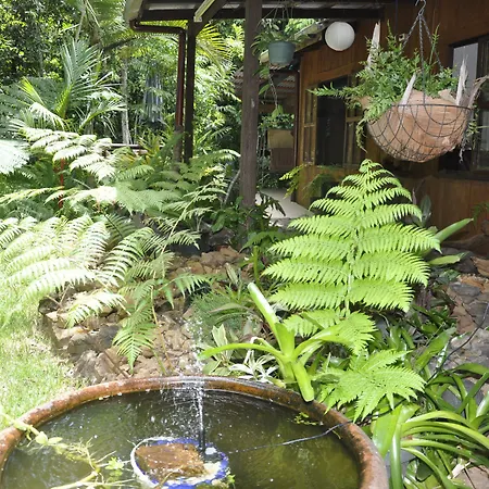 Tropical Bliss Bed And Breakfast-3