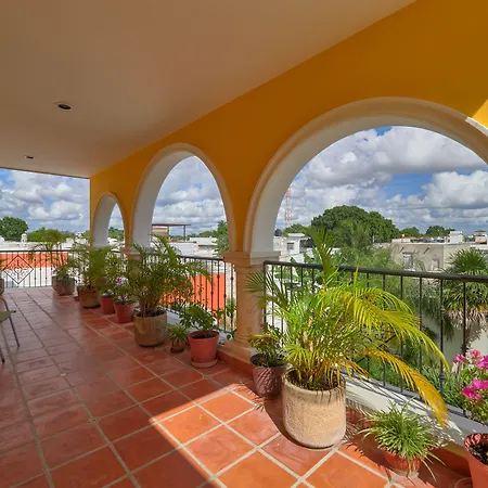 Casa Oasis Guest House And Spa-3
