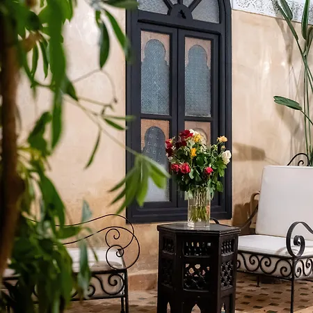 Riad Amegrad-3
