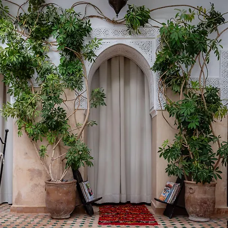 Riad Amegrad-2