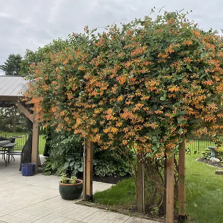 Rocklyn Inn Bed & Breakfast-2