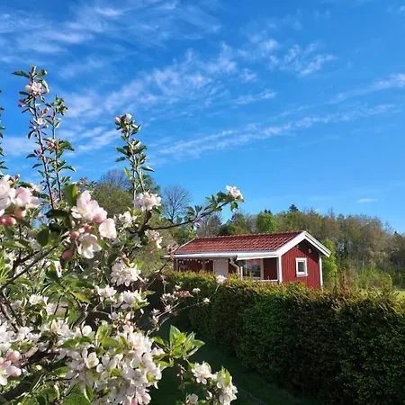 Aelgbergets Bed & Breakfast-2