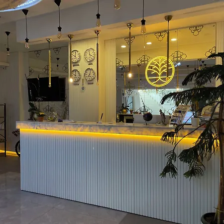 Mi Hotel Boutique-2