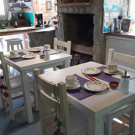 Dodo House-2