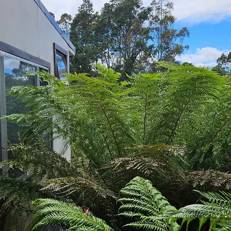 Cradle Alpine Retreat-2