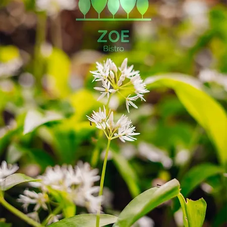 Zoe Bistro & Accommodation-2