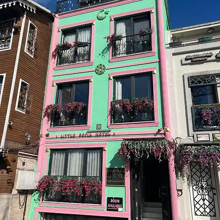 Little Sofia Hotel-3