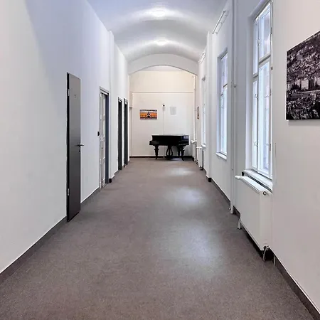 Dominik Panzio-2