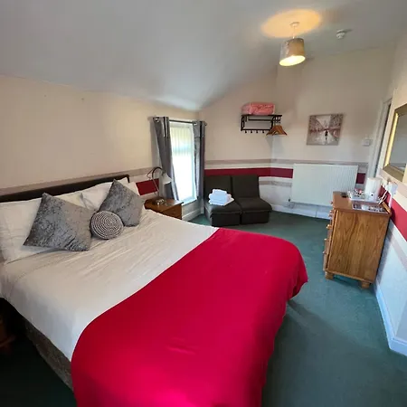 The Fernroyd-3