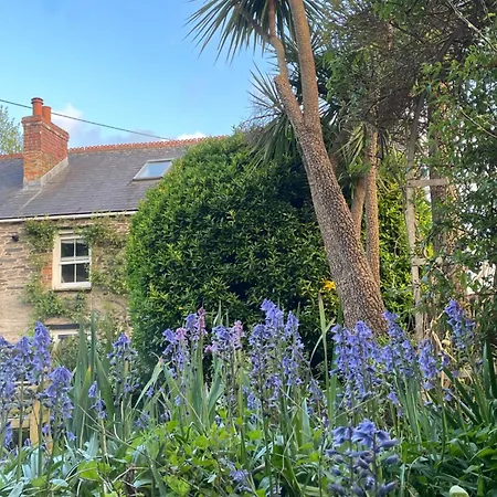 Spring Gardens B&B-3