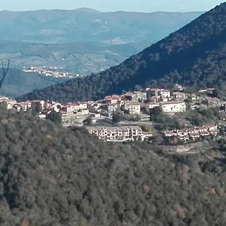 Alla Meria-2