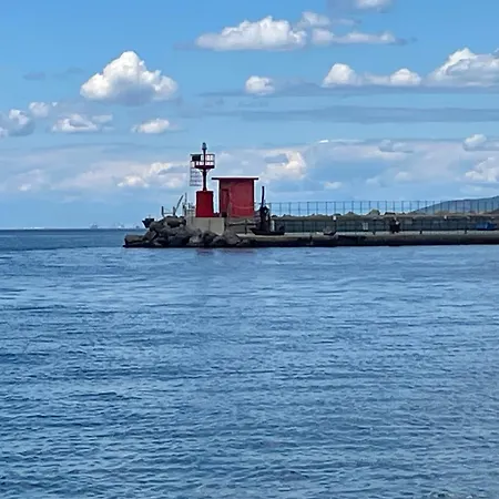 Trieste Sea Life-3