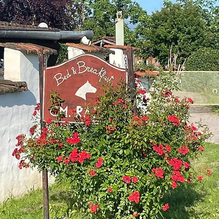 B&B Cm Ranch-3