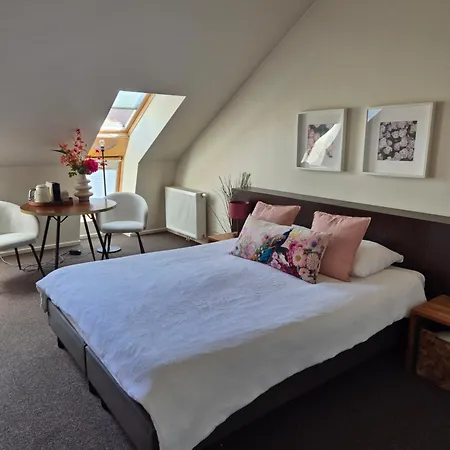 Boutique Hotel De Raetskamer-2
