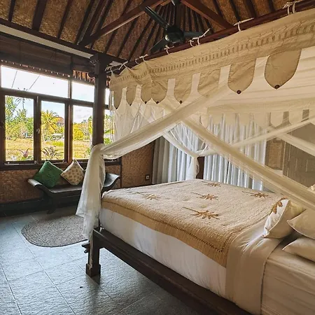 Bali Firefly Bnb-2