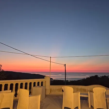 B&B Dimorangel-2