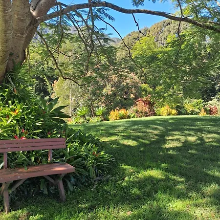 A View Of Mount Warning-2